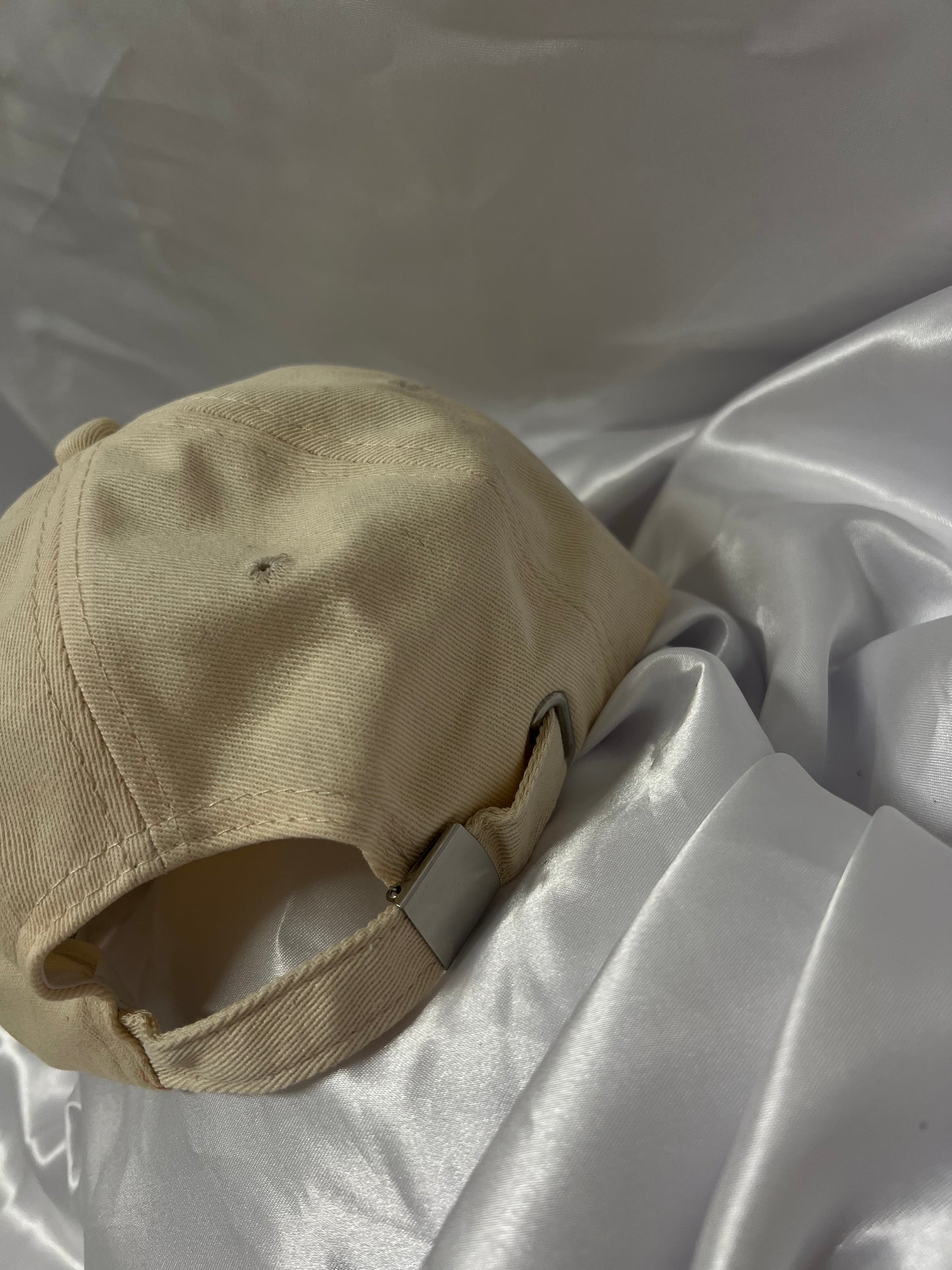 Brooklyn new york pet